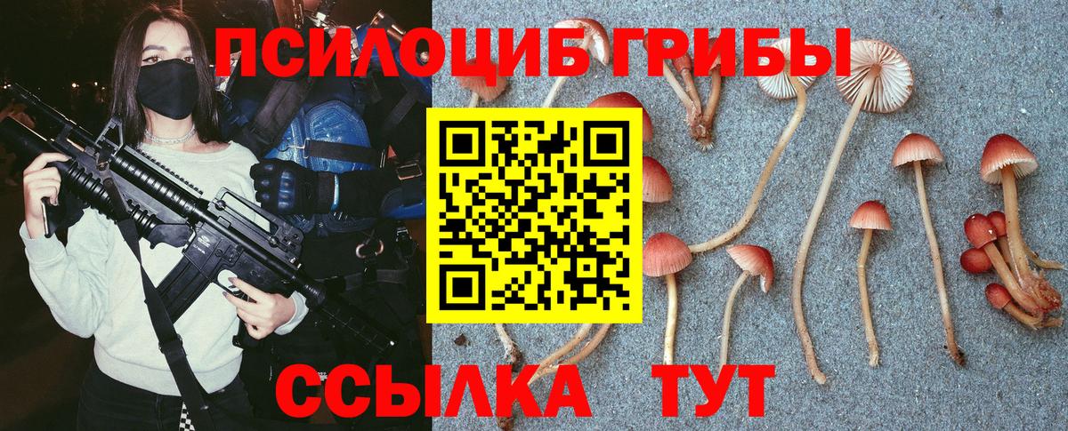 Галлюциногенные грибы мицелий Элиста