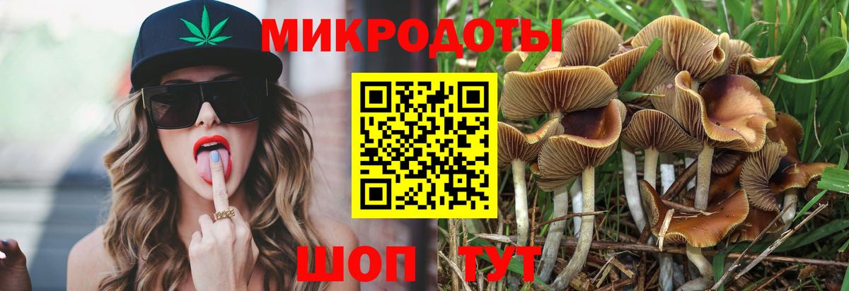 Элиста  Псилоцибиновые грибы Psilocybine cubensis  Вход с VPN 