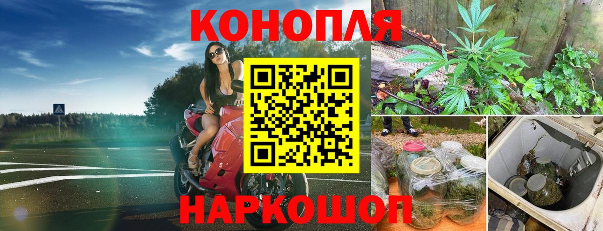 Бошки Шишки семена Элиста